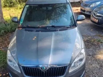 Używany Skoda Roomster Plus Edition 86 KM (63 kW) 2011 Szary Minivan