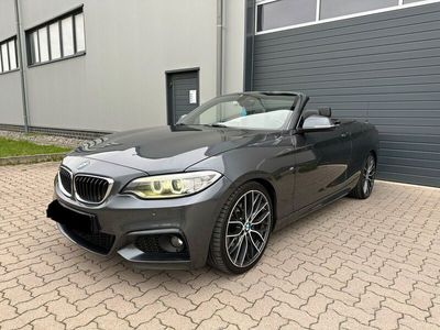 gebraucht BMW 220 d M-Paket VOLL KEYLESS GO KAMERA H&K LEDER EURO 6 19 ZOLL