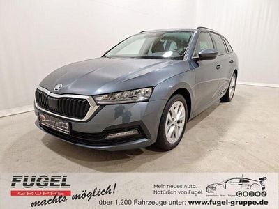 Gebraucht Skoda Octavia Ambition 110 PS (80 kW) 2021 Quarzgrau metallic Kombi