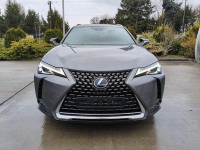 Brugt Lexus UX 250h 152 HK (111 kW) 2021 Grå SUV