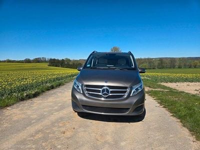 Brugt Mercedes V250 Avantgarde 190 HK (139 kW) 2015 Grå MPV