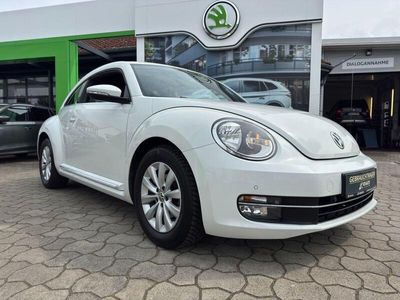 VW Beetle
