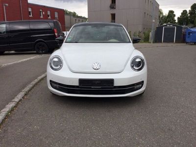 VW Beetle