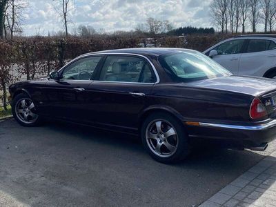 gebraucht Jaguar XJ Daimler