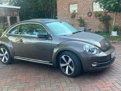 VW Beetle