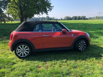 gebraucht Mini Cooper Cabriolet - Topgepflegt