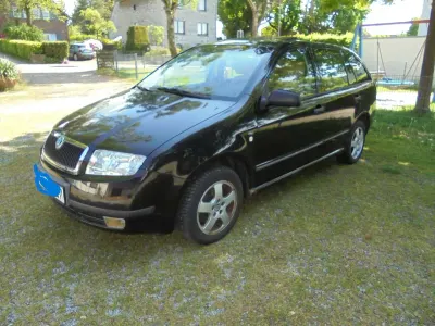 Usata Skoda Fabia