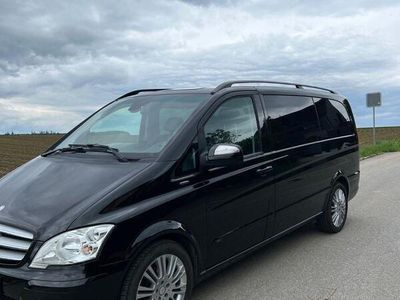 Mercedes Viano