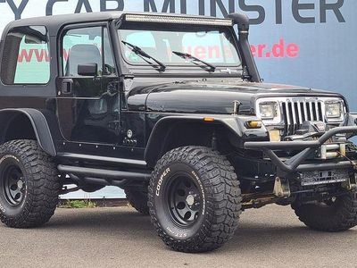 Gebraucht Jeep Wrangler 184 PS (135 kW) 1995 Schwarz SUV