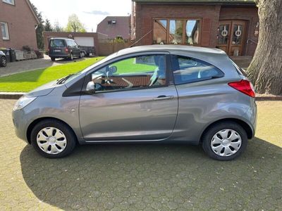 gebraucht Ford Ka 1,2 Trend 69 PS Klima unfallfrei