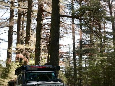 Gebraucht Jeep Wrangler 200 PS (147 kW) 2012 Weiß SUV