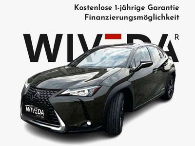 gebraucht Lexus UX 250h Launch Edition Aut. LED~KAMERA~NAVI~