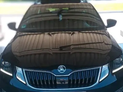Gebraucht Skoda Octavia LAURIN & KLEMENT 150 PS (110 kW) 2019 Schwarz Kombi