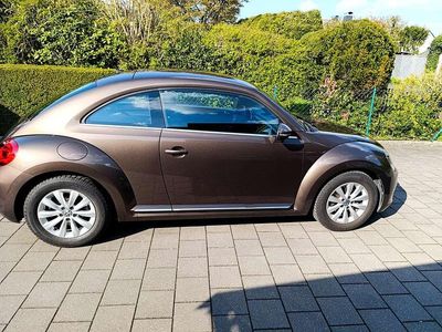 Usata VW Beetle Design 105 CV (77 kW) 2014 Marrone Utilitaria