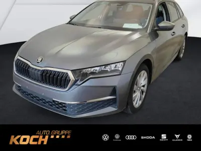 Gebraucht Skoda Octavia Selection 150 PS (110 kW) 2025 Graphitegrau metallic Kombi