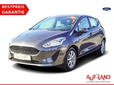 Gebraucht Ford Fiesta 75 PS (55 kW) 2020 Grau Kleinwagen