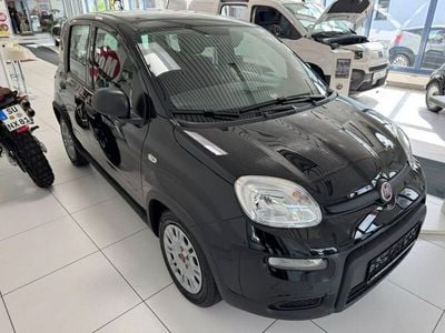 Schwarz Gebraucht 2024 Fiat Panda Kleinwagen | 12.480 € (Fairer Preis)