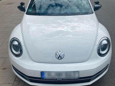 VW Beetle