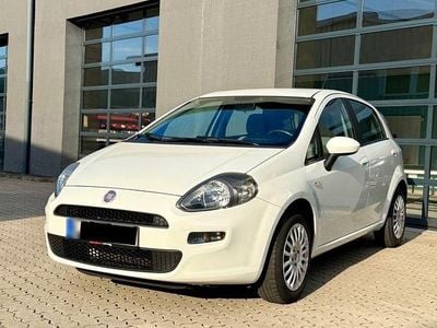 Gebraucht Fiat Punto 69 PS (50 kW) 2012 Weiß Kleinwagen