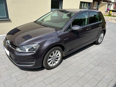 gebraucht VW Golf VII 