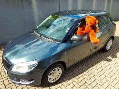 Gebraucht Skoda Fabia Cool Edition 60 PS (44 kW) 2014 Grau Kleinwagen