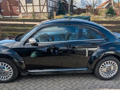 VW Beetle