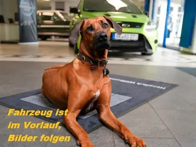 Gebraucht Ford Puma