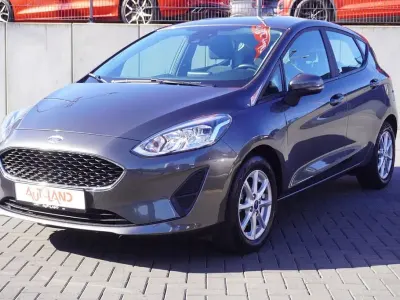 Gebraucht Ford Fiesta 75 PS (55 kW) 2020 Grau Kleinwagen