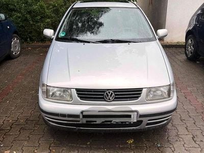 VW Polo