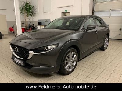 gebraucht Mazda CX-30 e-SKYACTIV*Selection*Distro*HuD*Kamera*LED