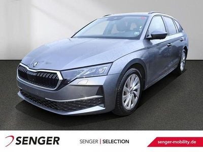 Gebraucht Skoda Octavia Selection 150 PS (110 kW) 2025 Graphitegrau Kombi