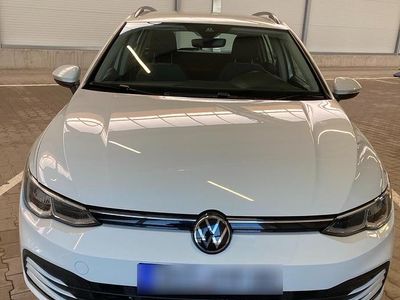Gebraucht VW Golf VIII Life 115 PS (84 kW) 2021 Weiß Kombi