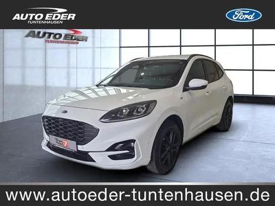Usata Ford Kuga ST-Line X 190 CV (139 kW) 2023 Bianco SUV