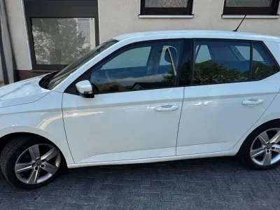 Gebraucht Skoda Fabia Active 75 PS (55 kW) 2017 Weiß Kleinwagen