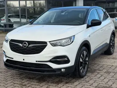 Used Opel Grandland X Design Edition 131 HP (96 kW) 2019 White SUV