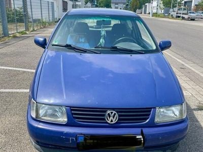 VW Polo