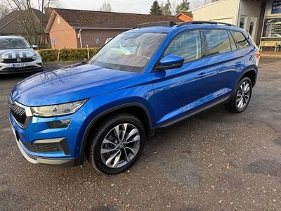 Gebraucht Skoda Kodiaq Tour 150 PS (110 kW) 2022 Blau SUV
