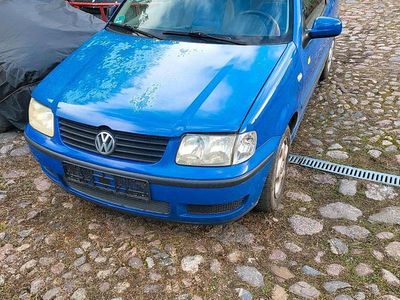 VW Polo