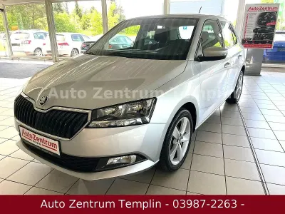 Gebraucht Skoda Fabia 95 PS (69 kW) 2021 Silber Kleinwagen