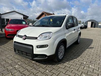 gebraucht Fiat Panda 1.0 #Tech Paket #Klima