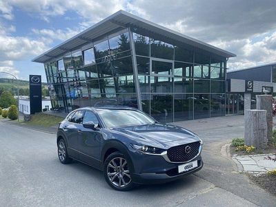 Gebraucht Mazda CX-30 Selection 186 PS (136 kW) 2021 Grau SUV