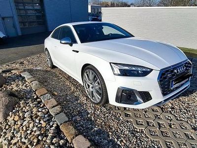 Gebraucht Audi S5 347 PS (255 kW) 2020 Weiß Coupé