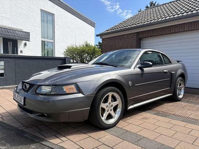 Usata Ford Mustang 264 CV (194 kW) 2004