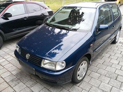 VW Polo