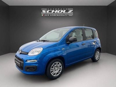 Neu Fiat Panda Icon 65 PS (47 kW) 2025 Blau Limousine