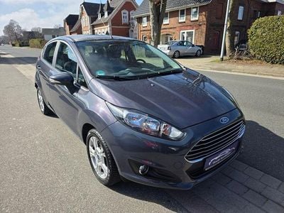 Gebraucht Ford Fiesta Trend 82 PS (60 kW) 2014 Grau Kleinwagen