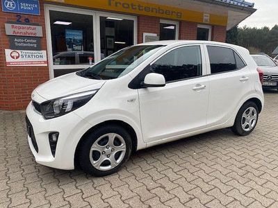 Gebraucht Kia Picanto Edition 7 67 PS (49 kW) 2023 (ud) schneeweiss Kleinwagen