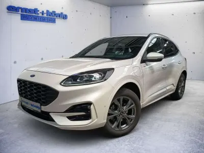 Gebraucht Ford Kuga ST-Line X 224 PS (164 kW) 2023 Arktisweiß (metallic) SUV