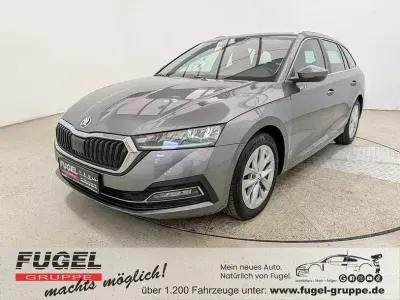 Gebraucht Skoda Octavia 110 PS (80 kW) 2023 Graphitegrau metallic Kombi