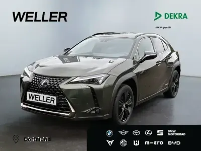 Gebraucht Lexus UX 250h